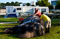 42588_Circus_Miami__Park__IMG_6383