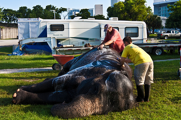 42588_Circus_Miami__Park__IMG_6383