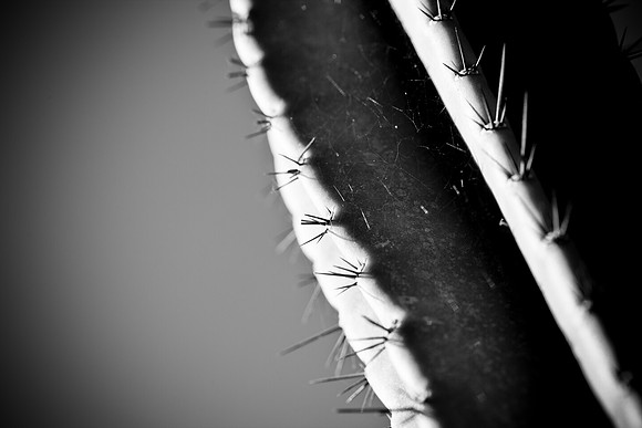 0031_La_Arizona_5L8Y5180