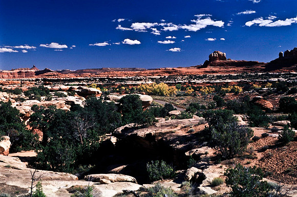 06789_B10_SL_COLOR_CANYONLAND_NAT_PARK_UT_97_12.jpg