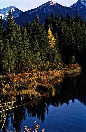 06836_B19_SL_COLOR_ATHABASCA_FALLS_ONE_OF_JASPER_NAT_PARK_BC_WS_97_16.jpg
