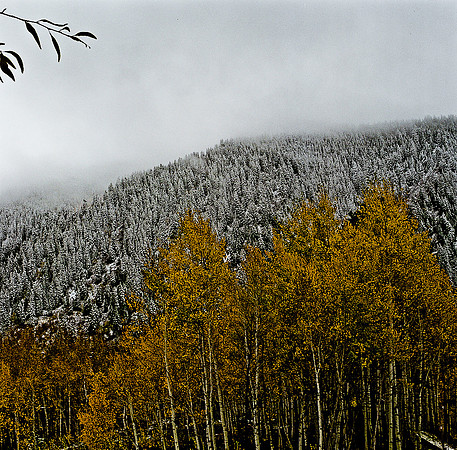 6088_Colorado_05_USA-05-2.jpg