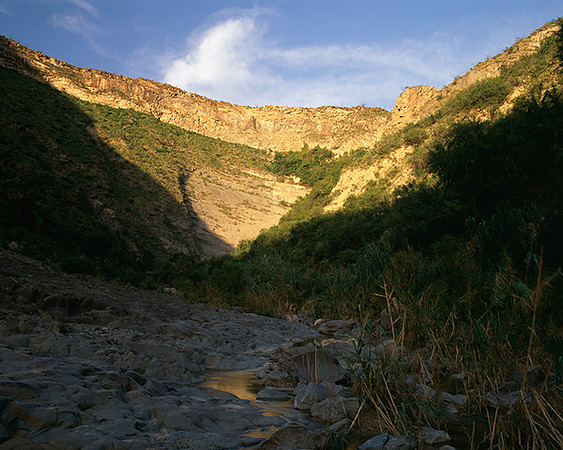 4000_20080719_ADS_Mexican_Landscape_Mexico_197