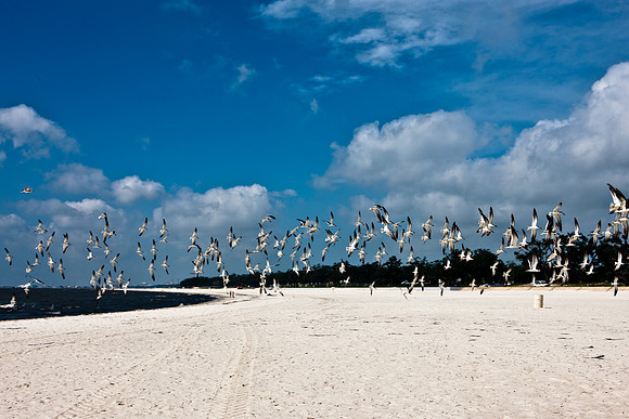 0036-NEW_ORLEANS_TO_PANAMA_CITY_BEACH_5L8Y1138