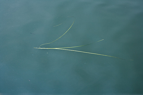 06594_DG_COLOR_STONINGTON_CONNECTICUT_CT_USA_2007_ZV4N_397