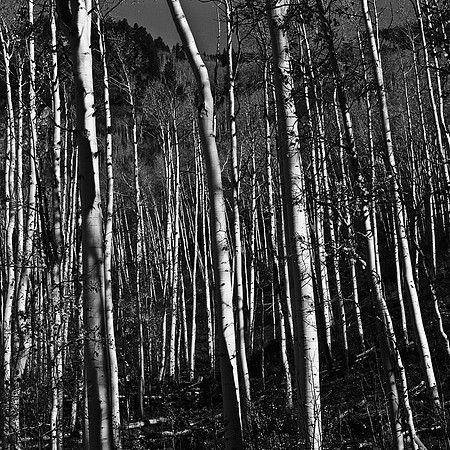 6098_FM_BW_INDEPENDENCE_CO_05_3.jpg