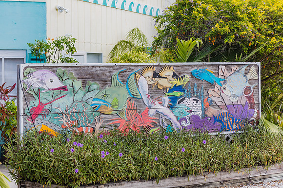20160712_Key_West_075A0244