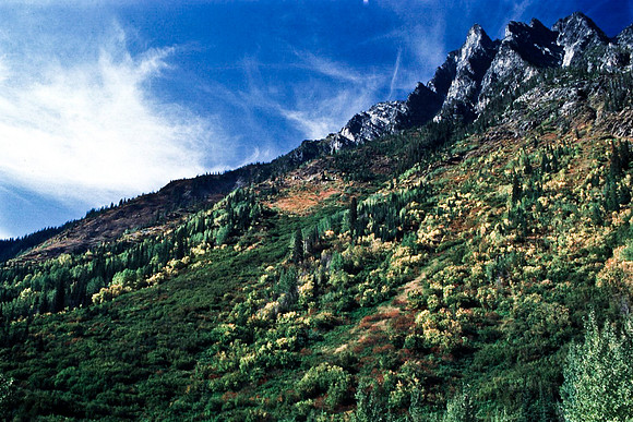 06817_B19_SL_COLOR_REVELSTOKE_TO_ROGERS_PASS_TO_GLACIER_NAT_PARK_OC_WS_97_02.jpg