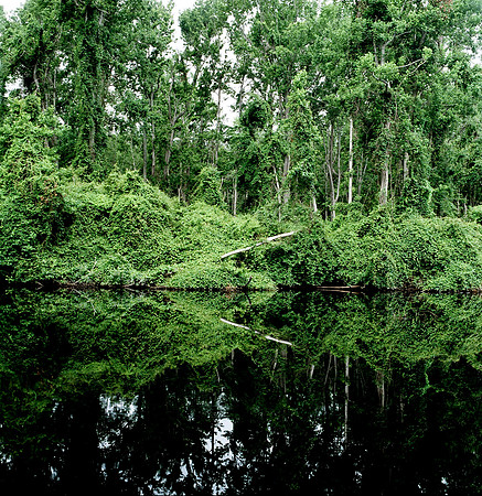 7820_FILM_COLOR_LR_STONINGTON_USA_CT_7.jpg