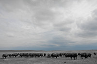 0044_North_Dacota_Fargo_to_South_Rapid_City_TO_CHEYENNE_5L8Y4180