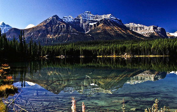 06831_B19_SL_COLOR_PEYTO_LAKE_FROM_THE_BOW_SUMMIT_TRAIL_BANFF_NAT_PARK_BC_WS_97_04.jpg