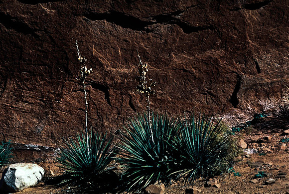 06784_B10_SL_COLOR_MOAB_UT_97_16.jpg