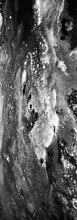 36108_B_FM_MONATANA_03_12.jpg
