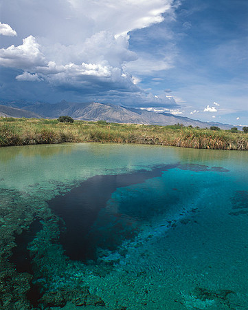 4000_20080719_ADS_Mexican_Landscape_Mexico_107