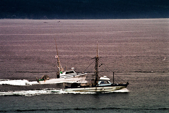2547_SL_BOX_I_COLOR_OVKA_VICTORIA_CANADA_16