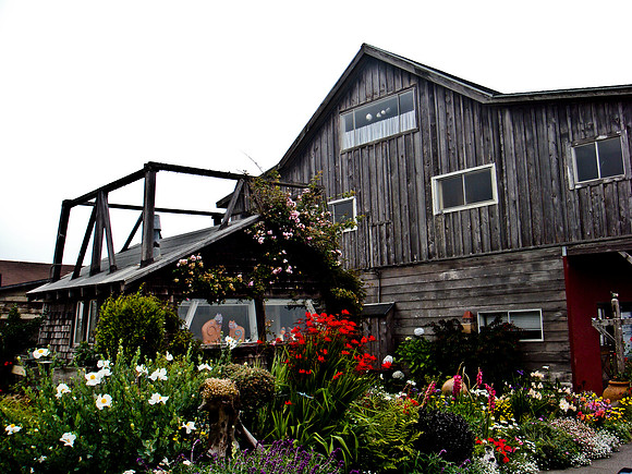 36538_DG_COLOR_MENDOCINO_CALIFORNIA_CA_USA_2007_DSC_01668