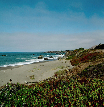 6028_FILM_COLOR_PACIFIC_HIGHWAY_LR_USA_CA_05_6.jpg