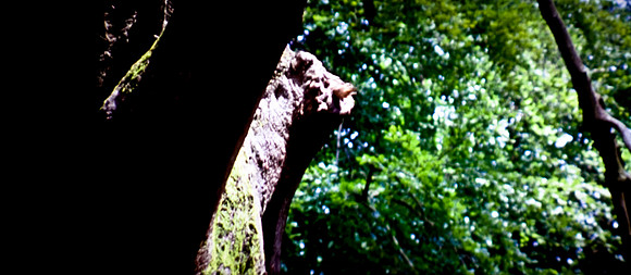 2905_DG_Lincoln_Road_Mouvie_Earth_Maimi_Beach_FL20090426-5L8Y6933