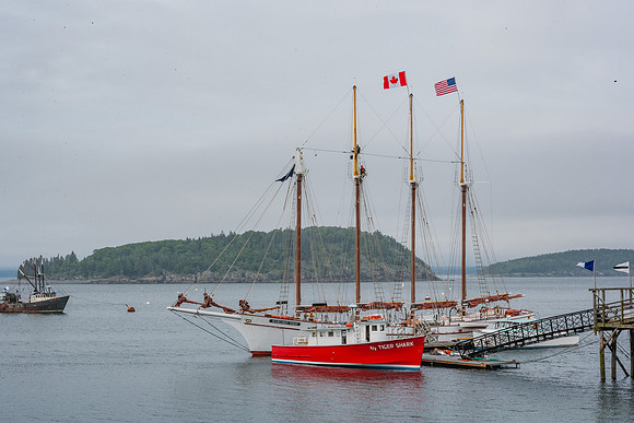 20060627_Maine_ZV4N1002