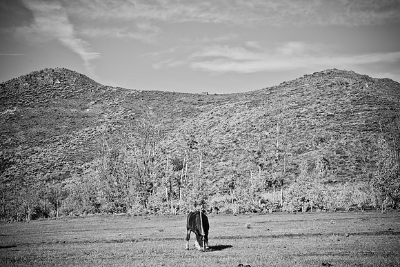 0021_Wyonming_To_Ketchem_Sun_Valley_ID_5L8Y80021_007