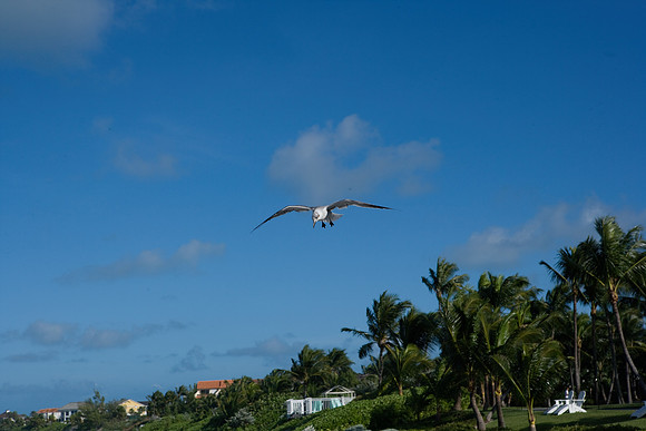 36166_DG_Color_USA_Nassau_Bahamas_Related_GroupNassau_Bahamas_ZV4N3348-16