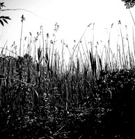 7816_A_BW_SQ_Mistic_STONINGTON_CT_04_2.jpg