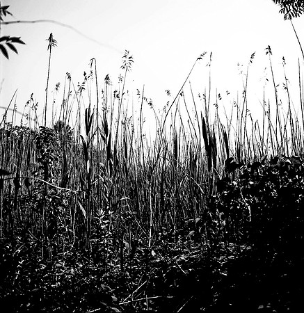 7816_A_BW_SQ_Mistic_STONINGTON_CT_04_2.jpg