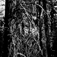 7571_FM_BW_CA_01.jpg