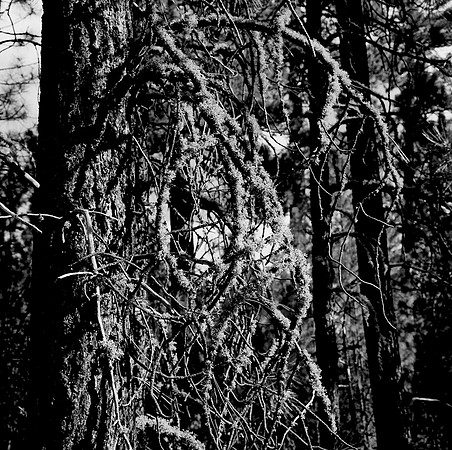 7571_FM_BW_CA_01.jpg