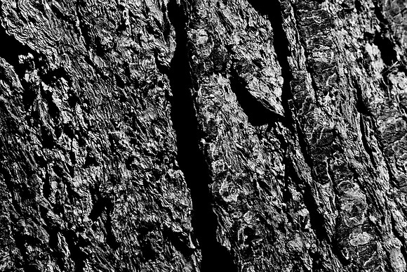 36425_DG_CALIFORNIA_USA_2007_ZV4N_4155-2