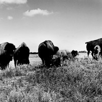 2453_B4P2_BW_SQ_KANSAS_02_3.jpg