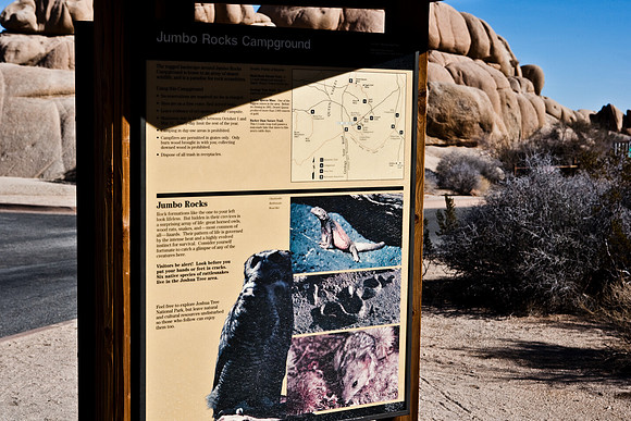 06646_DG_COLOR_JOSHUA_TREE_NAT_PARK_29_PALMS_CALIFORNIA_CA_USA_2007_ZV4N_499