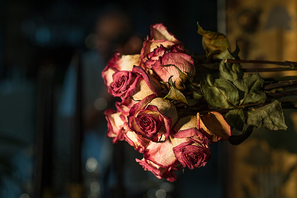 20140722_Roses_Dry_Studio_Shots_CG3P0330