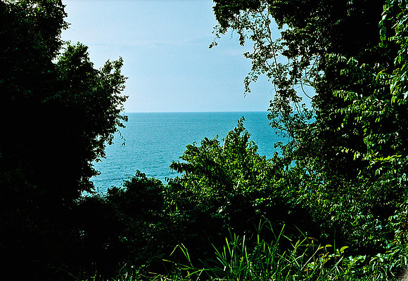 FILM