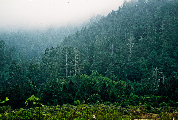 47390_B3_SL_COLOR_SURROUNDINGS_NE_97_09.jpg
