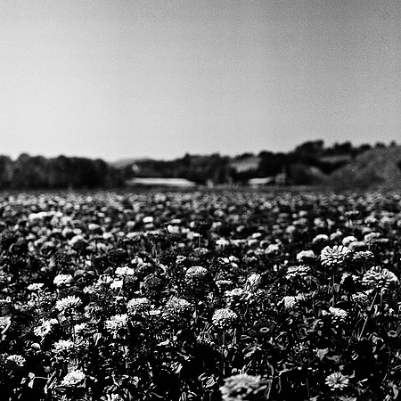 6033_FM_BW_HALFMOON_BAY_SLOVANG_CA_05_4.jpg