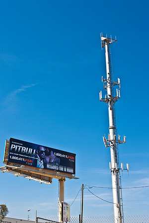 3452_DG_Wynwood_2_Ave_Miami_FL_5L8Y0070