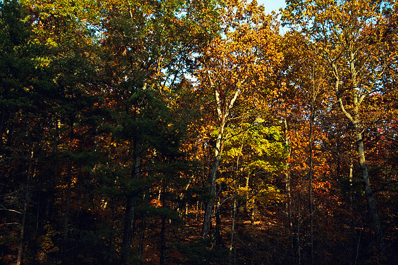 0258_FM_COLOR_MINESOTA_99_61.jpg