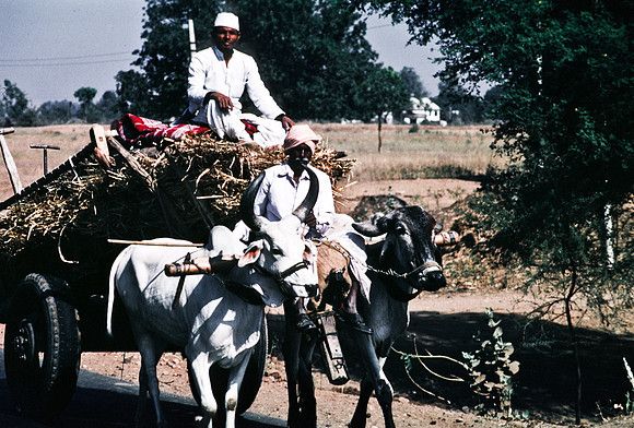 47283_SL_COLOR_INDIA_1987_10