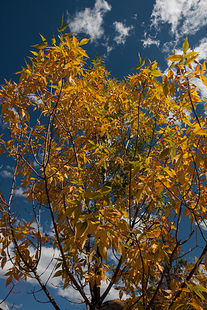 20080829_DVD15_DG_USA_Aspen_2364_full_blead