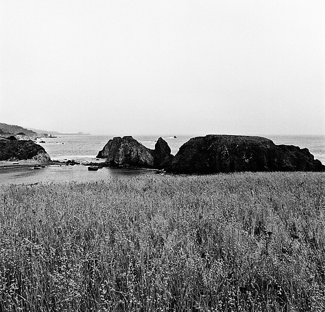 6040_FM_BW_BODEGA_BAY_CA_05_3.jpg