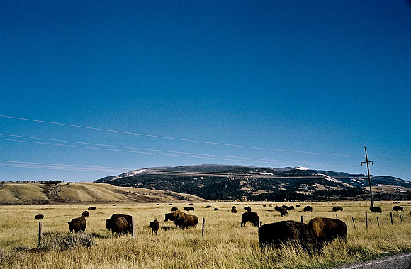6087_FM_COLOR_ASPEN_TO_INDEPENDENT_CO_05_13.jpg