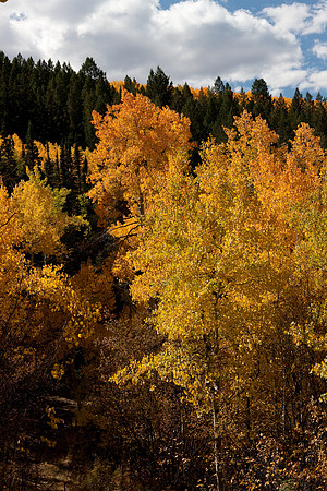 20080829_DVD15_DG_USA_Aspen_2105_full_blead