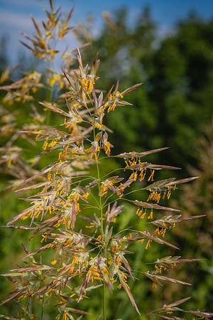 20060626_Maine_ZV4N0774