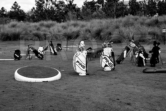 36205_DG_BW_USA_Osceola_County_Celebration_Town_FLZV4N8360