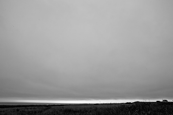 5L8Y0578