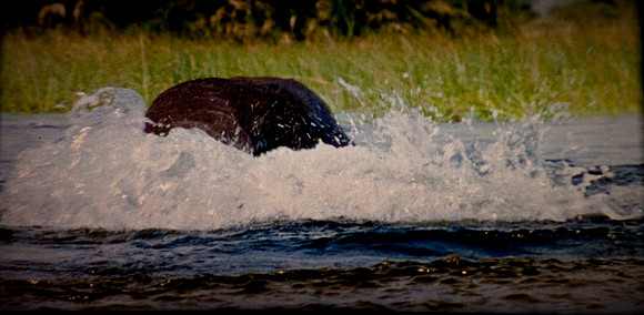 2905_DG_Lincoln_Road_Mouvie_Earth_Maimi_Beach_FL20090426-5L8Y6914