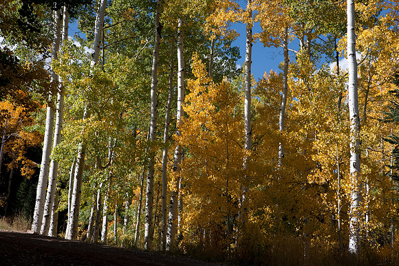 20080828_DVD9_DG_From_Glenwood_Spring_to_Aspen_CO_2022_full_blead