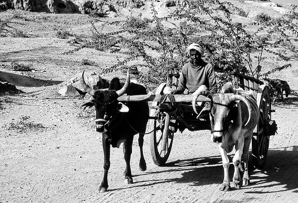 47271_SL_COLOR_INDIA_1987_1