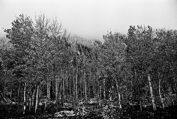 6083_FM_BW_CO_05_3.jpg